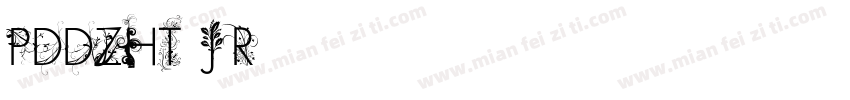 PDDZHT J Regular字体转换